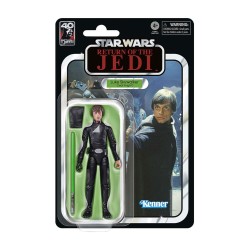 Star Wars: Black Series - Luke Skywalker (Episode VI) Action