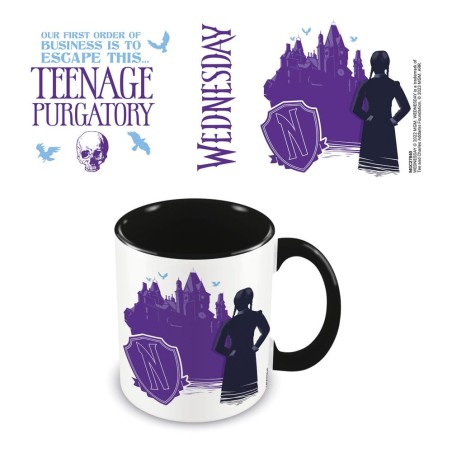 Wednesday: Teenage Purgatory Mug Mok