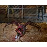 NECA: The Thing - Dog Creature Ultimate Deluxe Action Figure 18 NECA: The Thing - Dog Creature Ultimate Deluxe Action Figure 18