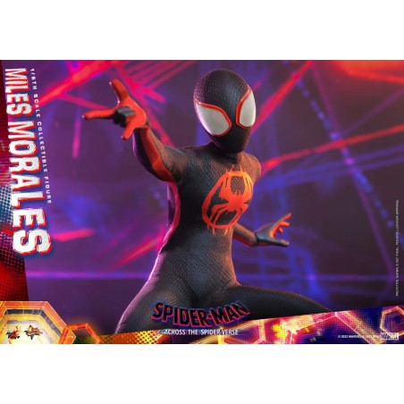 Hot Toys Spider-Man: Across the Spider-Verse Action Figure 1/6