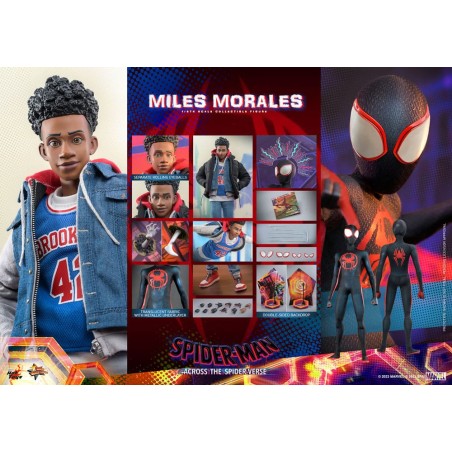 Hot Toys Spider-Man: Across the Spider-Verse Action Figure 1/6