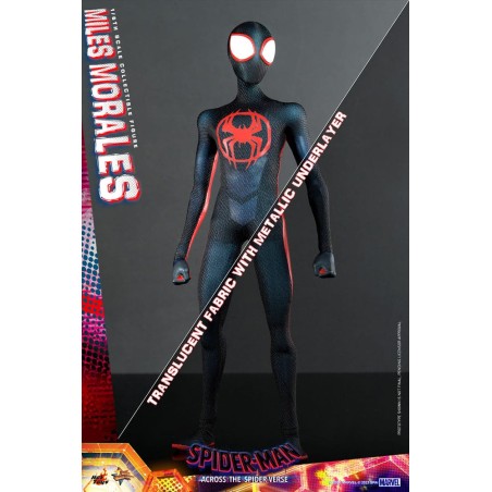 Hot Toys Spider-Man: Across the Spider-Verse Action Figure 1/6