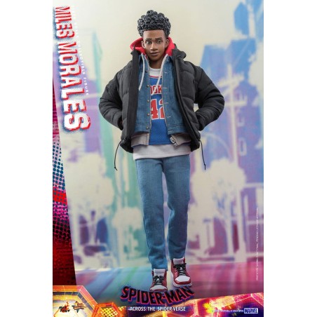 Hot Toys Spider-Man: Across the Spider-Verse Action Figure 1/6