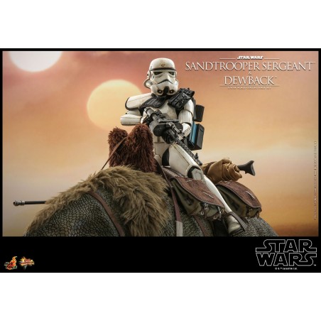 Hot Toys Star Wars: A New Hope - Sandtrooper Sergeant and