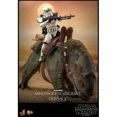 Hot Toys Star Wars: A New Hope - Sandtrooper Sergeant and