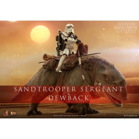 Hot Toys Star Wars: A New Hope - Sandtrooper Sergeant and