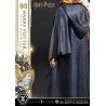 Harry Potter: Harry Potter with Hedwig 1/6 Scale Statue 28 cm Harry Potter: Harry Potter with Hedwig 1/6 Scale Statue 28 cm