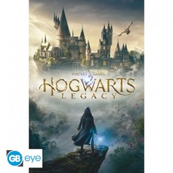 Poster: Harry Potter - Hogwarts Legacy